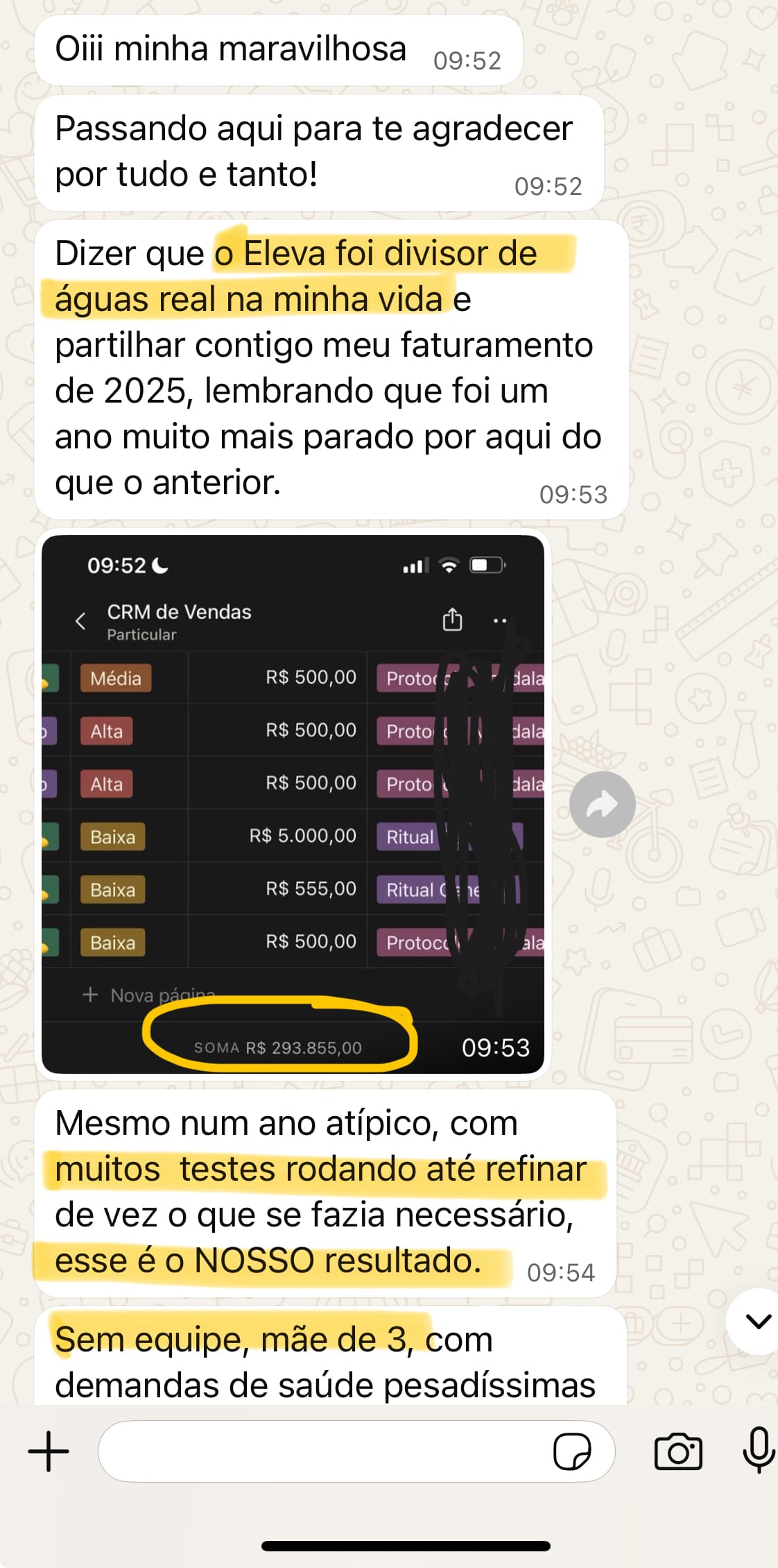 Depoimento de mentorada: faturou R$ 293 mil mesmo sendo mãe de 3, sem equipe e com demandas de saúde.